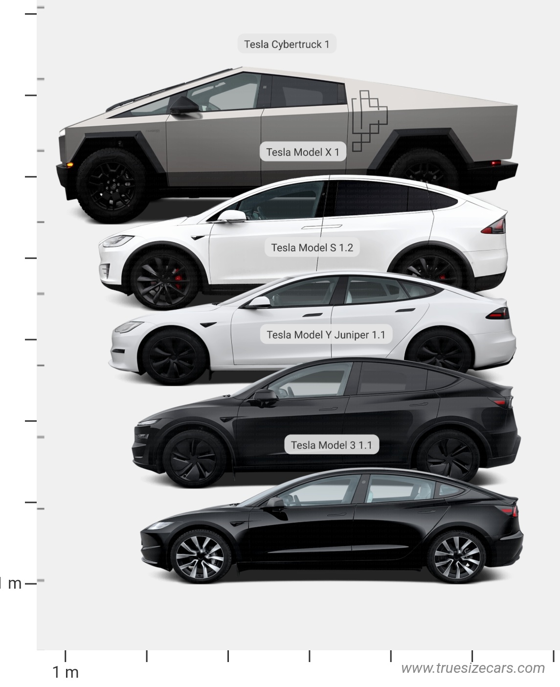 Tesla Models Size Comparison